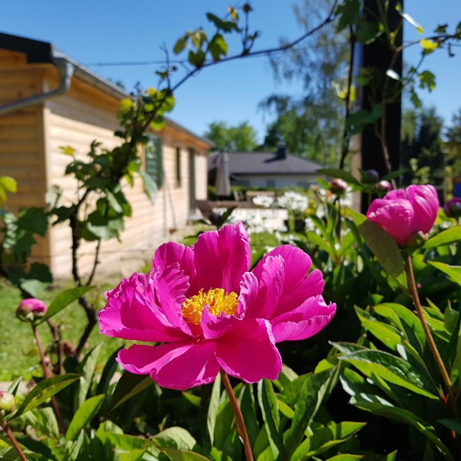 Chalet "Waldhauszeit" Am See Мюкке Экстерьер фото